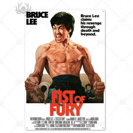 PLAQUE EN ÉTAIN FILM LA FUREUR DU DRAGON BRUCE LEE 30 X 20 CM