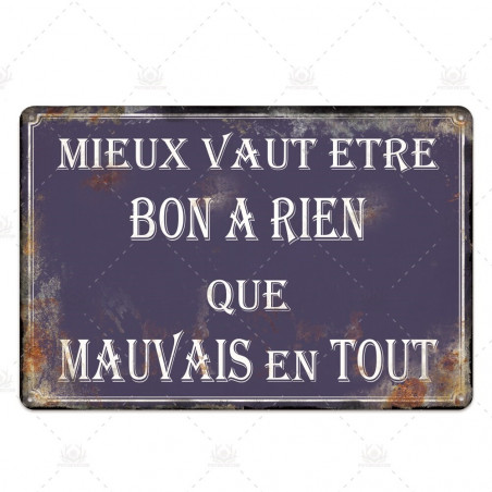 PLAQUE EN ÉTAIN  INSOLITE  30 X 20 CM