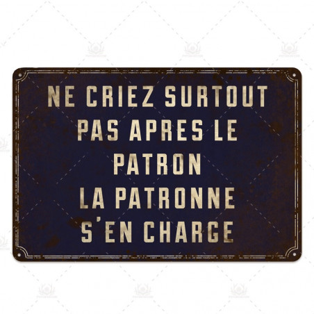 PLAQUE EN ÉTAIN  INSOLITE  30 X 20 CM