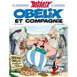 PLAQUE EN ÉTAIN ASTERIX ET OBELIX 30X20 CM