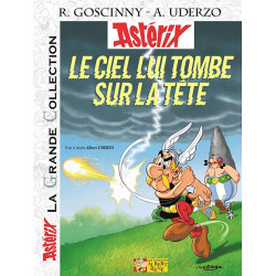 PLAQUE EN ÉTAIN ASTERIX ET OBELIX 30X20 CM