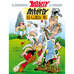 PLAQUE EN ÉTAIN ASTERIX ET OBELIX 30X20 CM