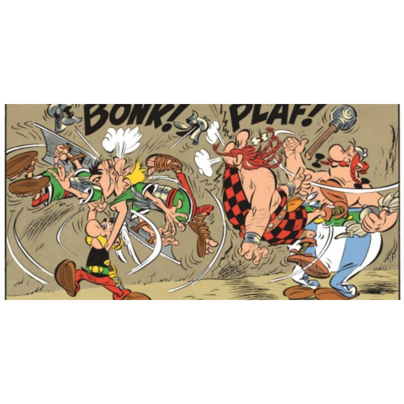 PLAQUE EN ÉTAIN ASTERIX ET OBELIX 30X20 CM