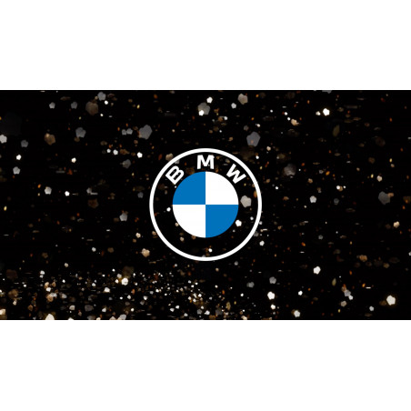 PLAQUE EN ÉTAIN BMW 30X20 CM