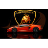 PLAQUE EN ÉTAIN LAMBORGHINI 30X20 CM