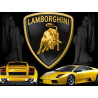 PLAQUE EN ÉTAIN LAMBORGHINI 30X20 CM