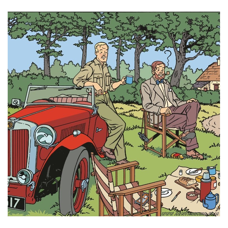 PLAQUE EN ÉTAIN BLAKE & MORTIMER 30X20 CM