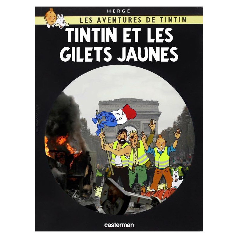 PLAQUE EN ÉTAIN TINTIN 30 X 20 CM