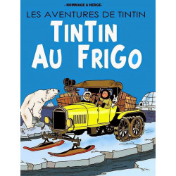 PLAQUE EN ÉTAIN TINTIN 30 X 20 CM