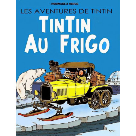 PLAQUE EN ÉTAIN TINTIN 30 X 20 CM