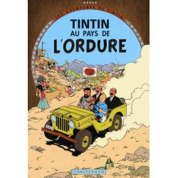 PLAQUE EN ÉTAIN TINTIN 30 X 20 CM