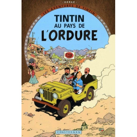 PLAQUE EN ÉTAIN TINTIN 30 X 20 CM