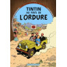 PLAQUE EN ÉTAIN TINTIN 30 X 20 CM