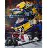 PLAQUE EN ÉTAIN AYRTON SENNA 30 X 20 CM