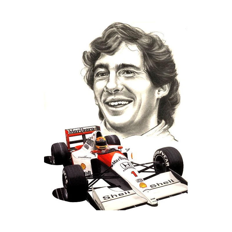 PLAQUE EN ÉTAIN AYRTON SENNA 30 X 20 CM