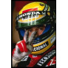 PLAQUE EN ÉTAIN AYRTON SENNA 30 X 20 CM