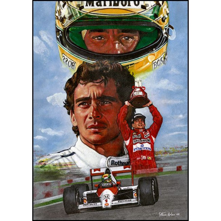 PLAQUE EN ÉTAIN AYRTON SENNA 30 X 20 CM