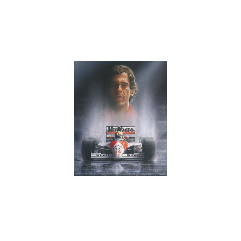 PLAQUE EN ÉTAIN AYRTON SENNA 30 X 20 CM